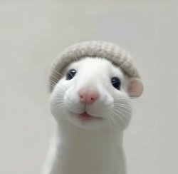 MrRatatouille