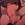 SyneSZ