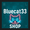 Bluecat33