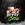 PixelJetsu