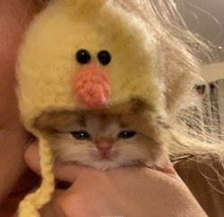 Seherbygrl