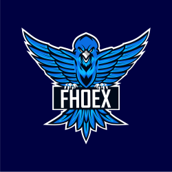 FhoexStore