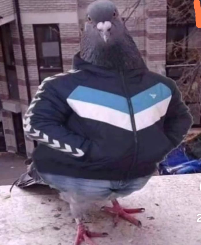 EymShop