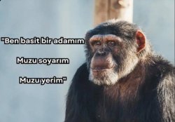 silker