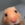 Facehakl4