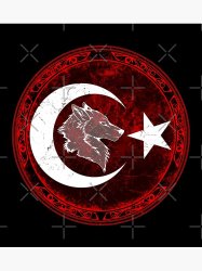 MehmetFriztche01