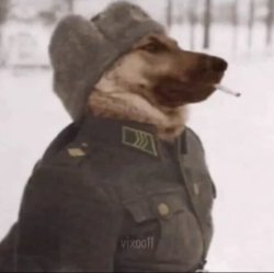 celenburak56