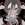 Shuchan