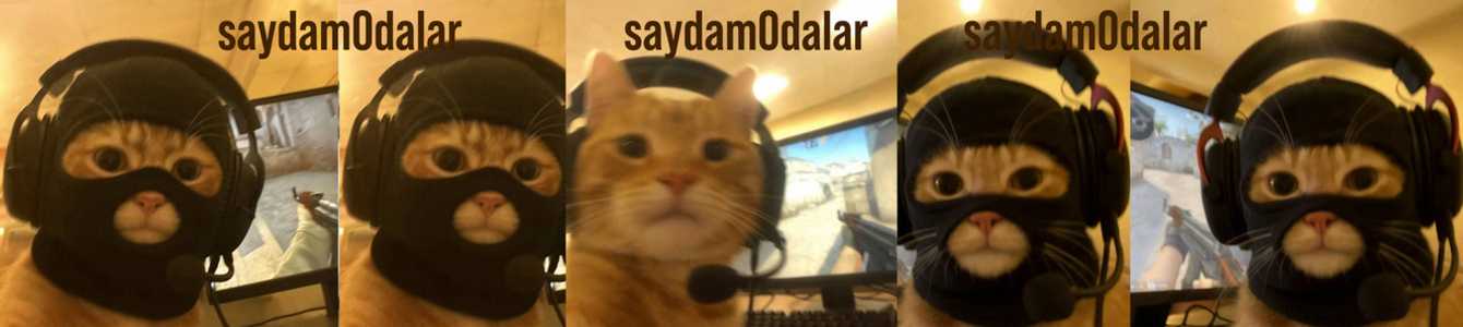 saydam0dalar
