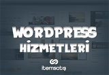 WordPress Anahtar Teslim Web Sitesi 