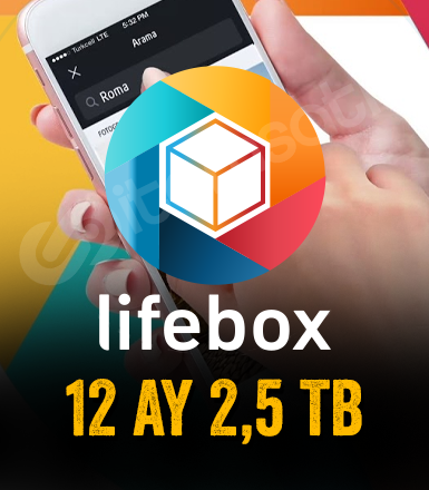 12 Aylık 2,5 TB Lifebox