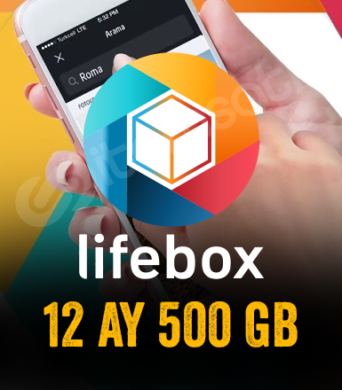 12 Aylık 500 GB Lifebox