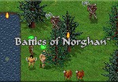 Battles of Norghan Steam CD Key