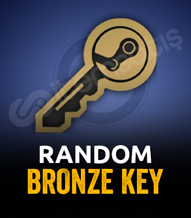 Bronze Key