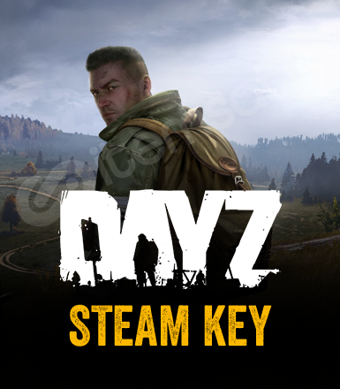 DayZ Steam CD Key