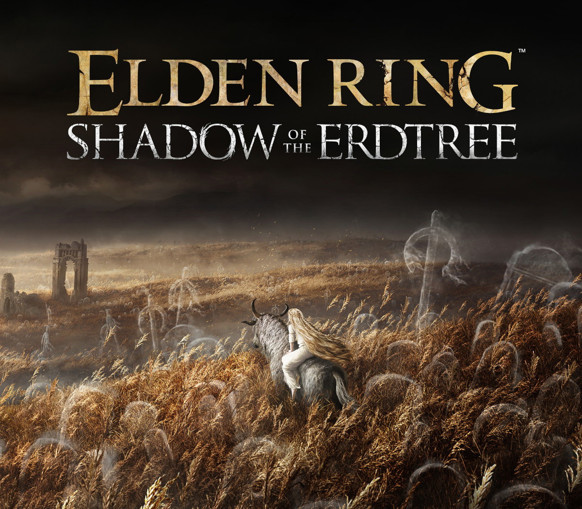 ELDEN RING - Shadow of the Erdtree DLC EU PS5 CD Key