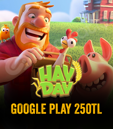 Google Play 250 TL