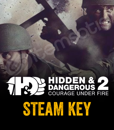 Hidden Dangerous 2 Courage Under Fire Global Steam Key