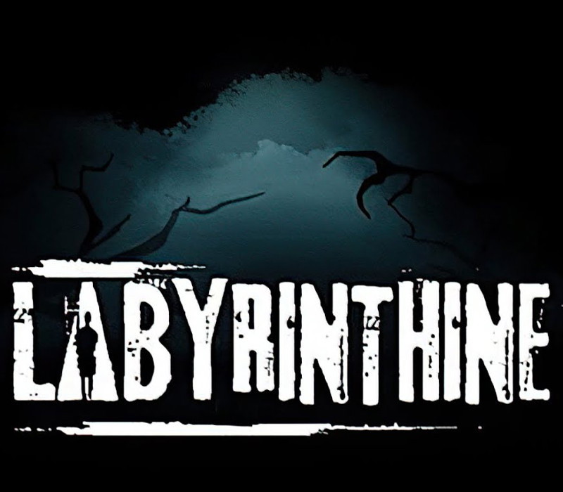 Labyrinthine Steam CD Key