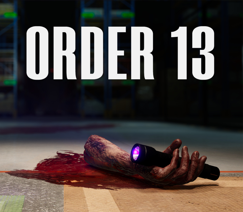 ORDER 13 PC Steam CD Key