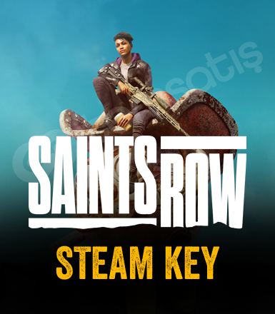 Saints Row Steam CD Key