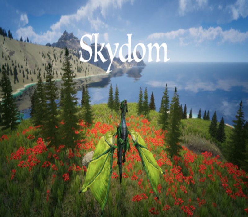 Skydom Steam CD Key