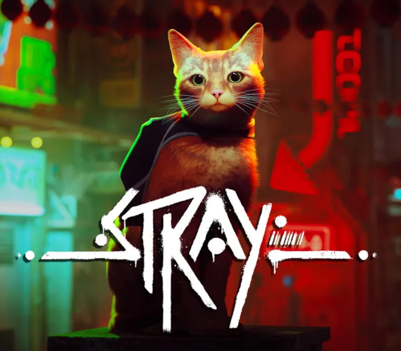 Stray Steam CD Key