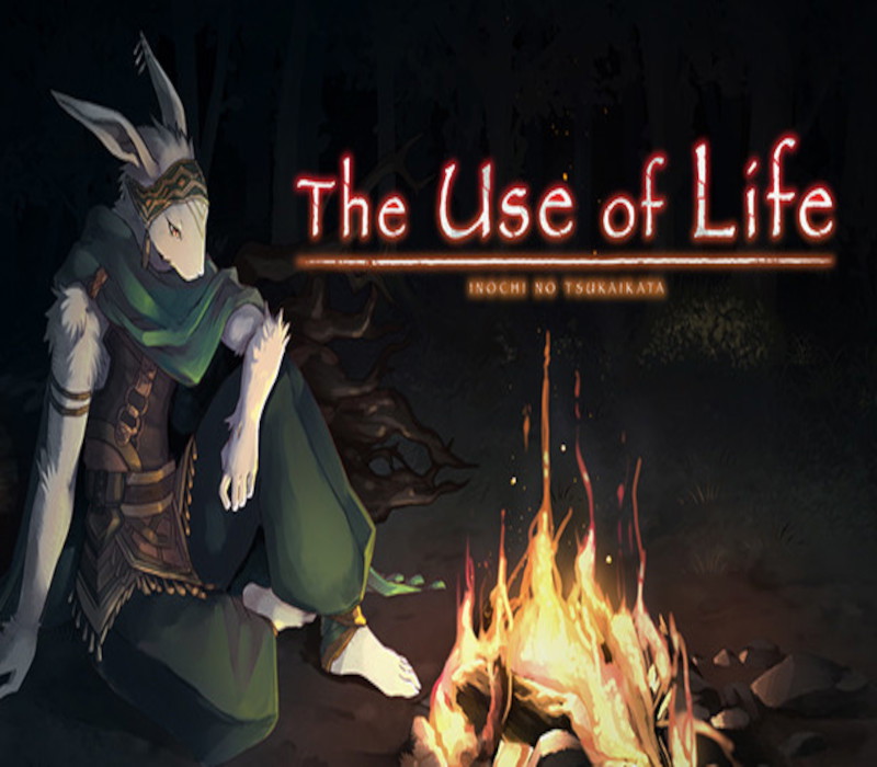 The Use of Life Steam CD Key