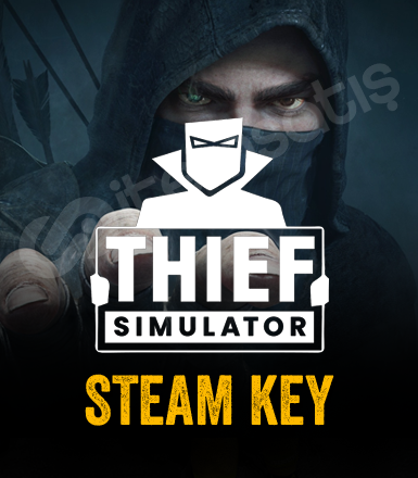 Thief Simulator Steam CD Key