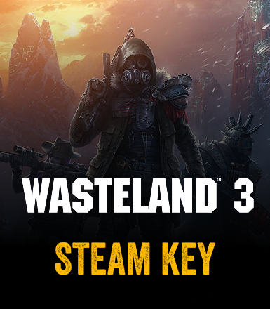 Wasteland 3 Global Steam CD Key