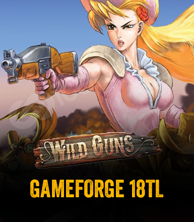 Wild Guns Gameforge 18 TL Epin