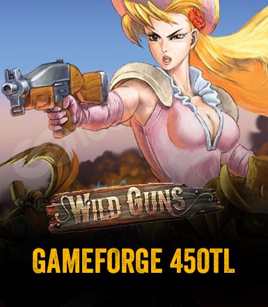 Wild Guns Gameforge 450 TL Epin
