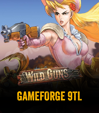 Wild Guns Gameforge 9 TL Epin