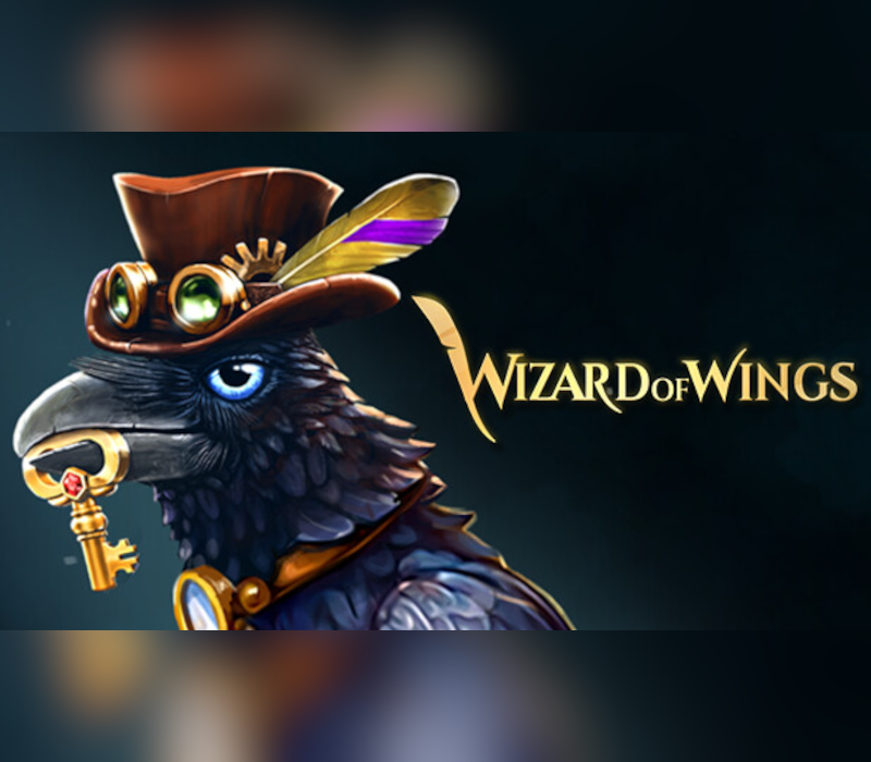Wizard of Wings: Escape PC Steam CD Key