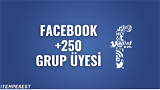 +250 Facebook Grup Üyesi