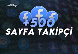 +500 Facebook Sayfa Takipçisi
