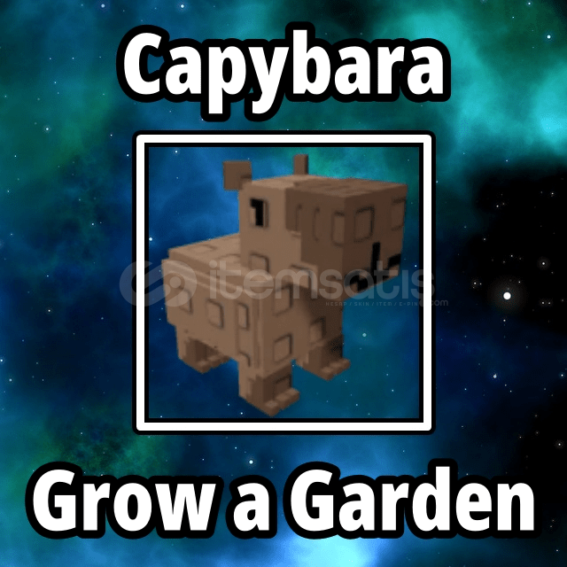 ⭐ Capybara ⭐ Grow a garden ⭐ Capybara ⭐ Grow a garden
