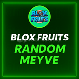 Blox Fruit Random Meyve
