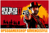 Anlık | Hatasız Red Dead Redemption 2 + Garanti