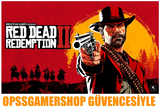 Anlık | Hatasız Red Dead Redemption 2 + Garanti