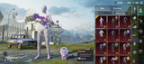 1-120 skin arası pubg random hesap