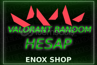 1-120 SKİN ARASI VALORANT RANDOM HESAP
