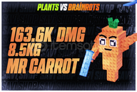 1 ADET 163.6K DMG MR CARROT