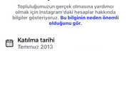 1 adet 2013 kurulum hesap -