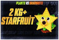 1 ADET 2KG+ STARFRUİT