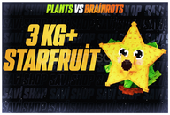 1 ADET 3KG+ STARFRUİT