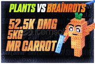 1 ADET 52.5K DMG 5KG MR CARROT 1 ADET 52.5K DMG 5KG MR CARROT