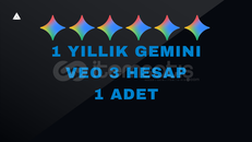 1 ADET GEMİNİ HESAP VEO3 YAPAY ZEKA 12 AY