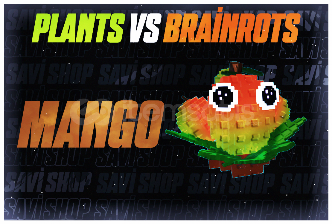 4 ADET MANGO 4 ADET MANGO