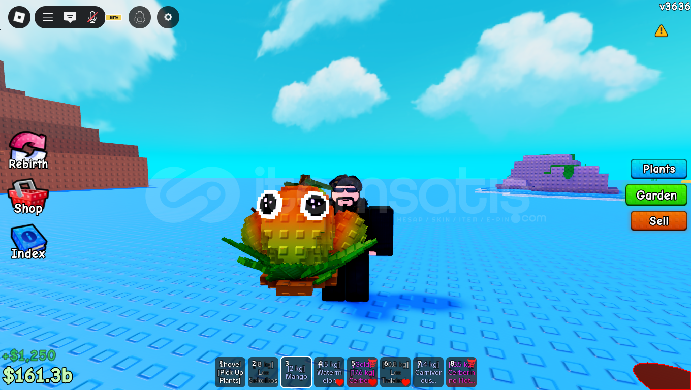 1 Adet Mango 1 Adet Mango